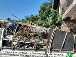 Best Foreclosure Cleanout  in Stanton, MI