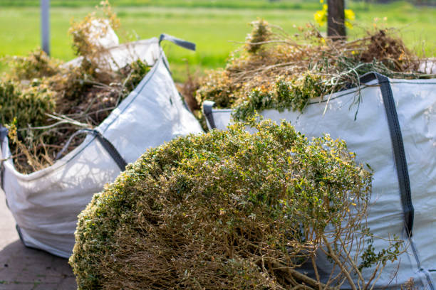 Best Same-Day Junk Removal Services  in Stanton, MI