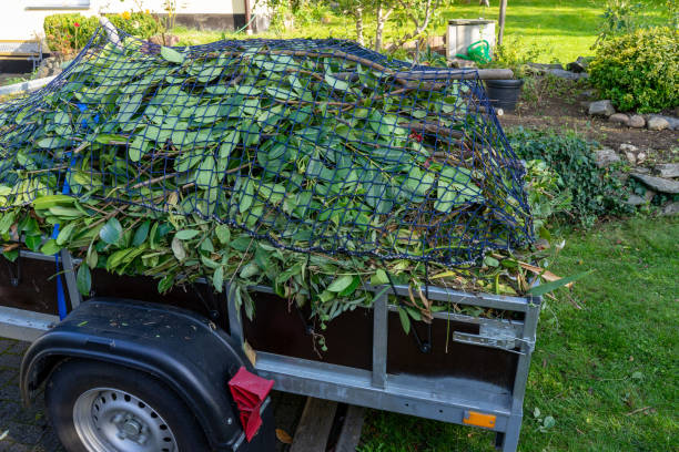 Best Yard Waste Removal  in Stanton, MI